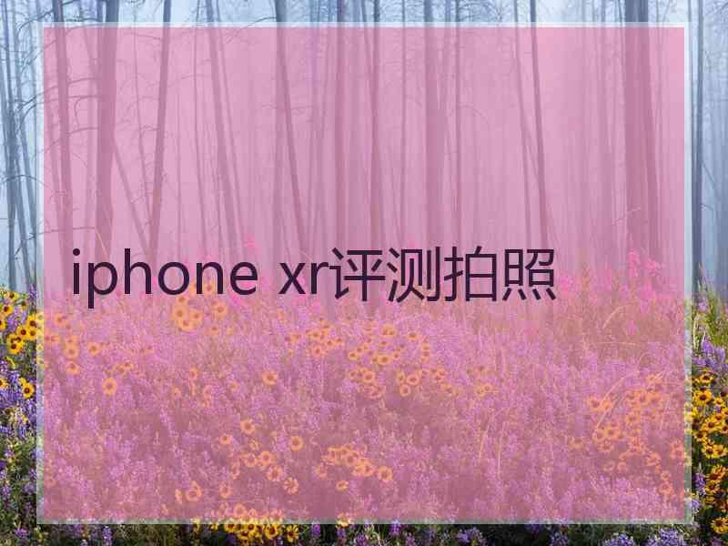 iphone xr评测拍照