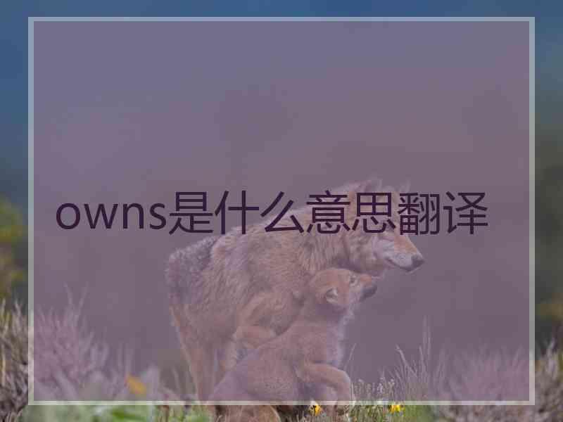 owns是什么意思翻译