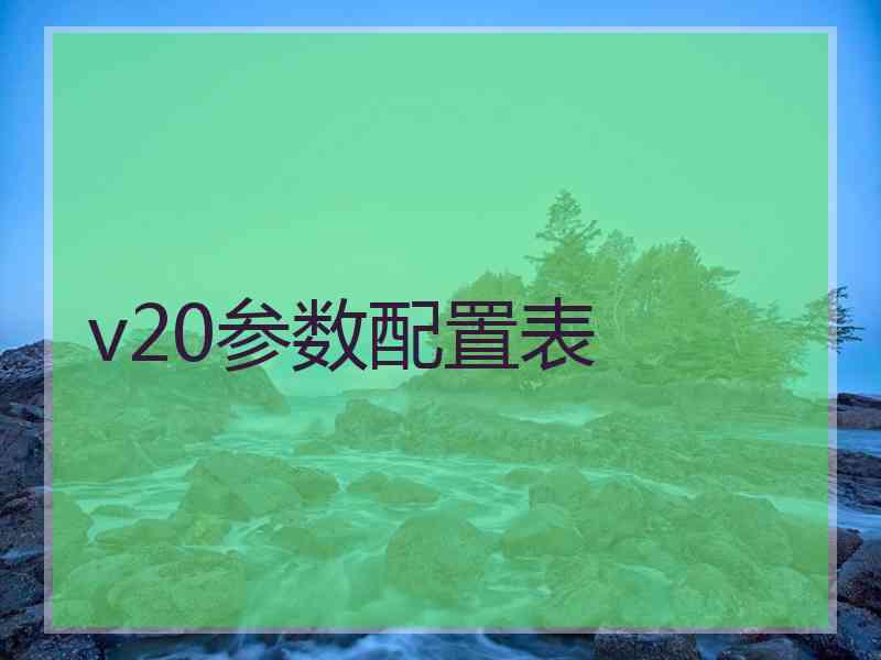 v20参数配置表