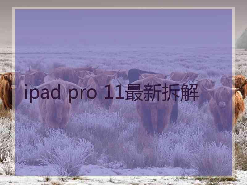 ipad pro 11最新拆解