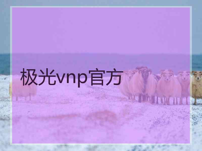 极光vnp官方