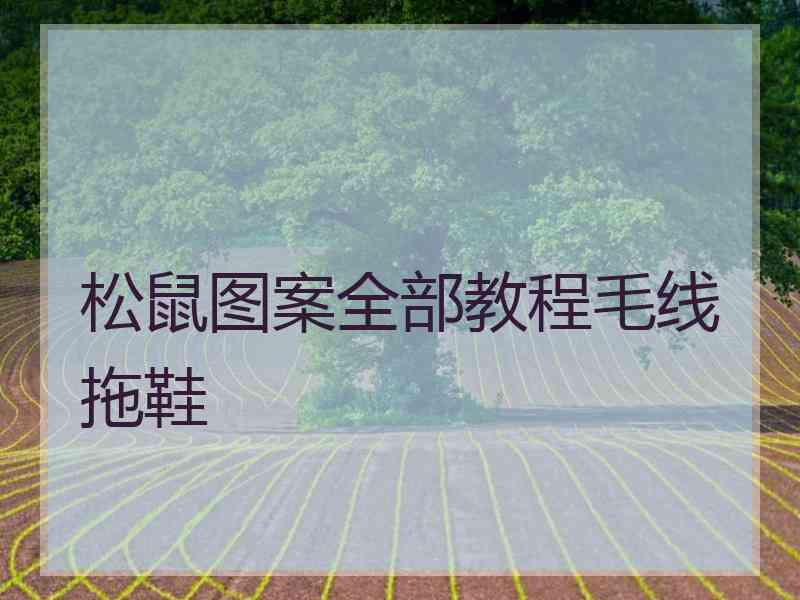 松鼠图案全部教程毛线拖鞋