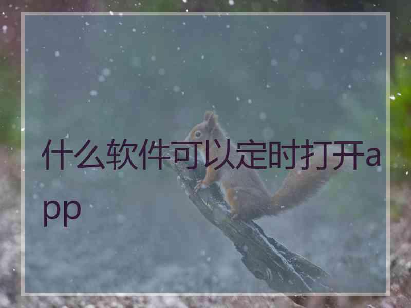 什么软件可以定时打开app