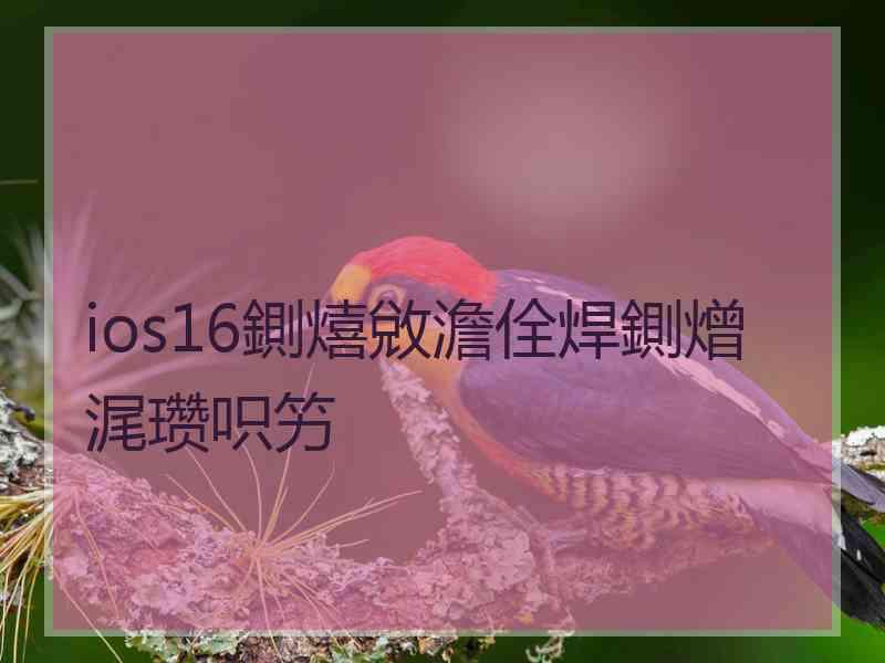 ios16鍘熺敓澹佺焊鍘熷浘瓒呮竻