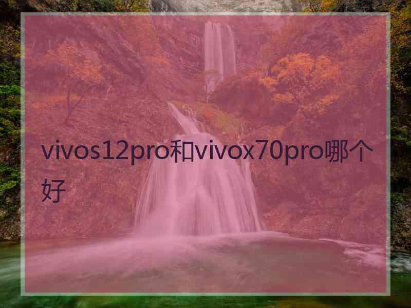 vivos12pro和vivox70pro哪个好