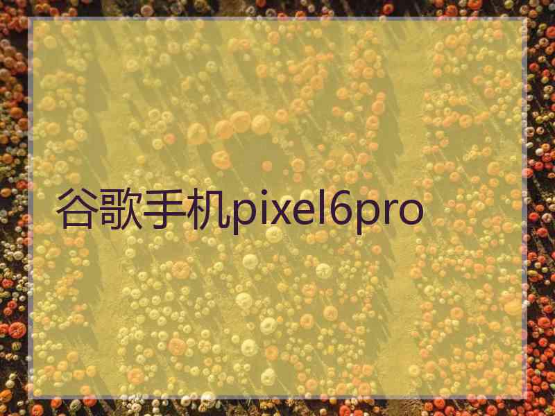 谷歌手机pixel6pro