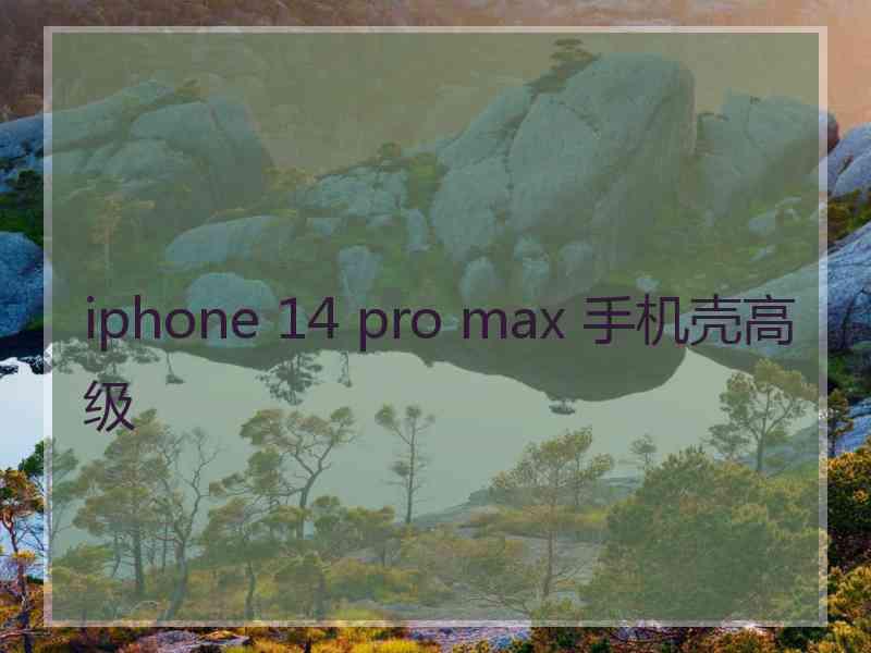 iphone 14 pro max 手机壳高级