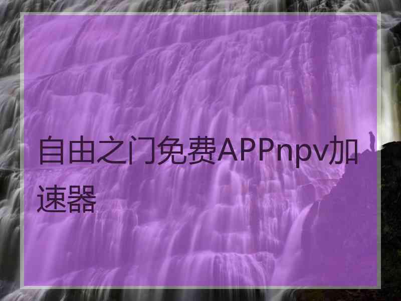 自由之门免费APPnpv加速器