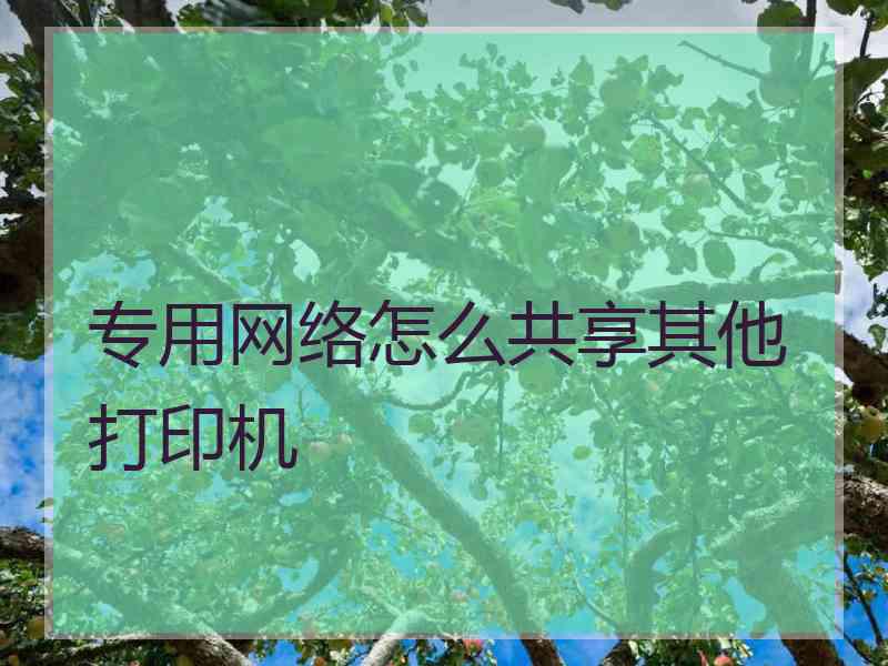 专用网络怎么共享其他打印机