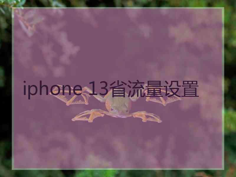 iphone 13省流量设置