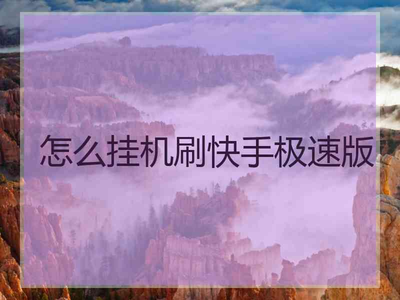 怎么挂机刷快手极速版