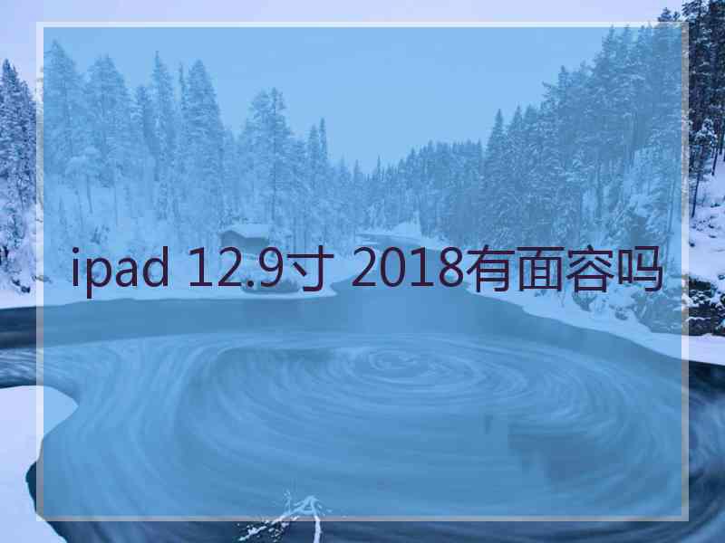 ipad 12.9寸 2018有面容吗