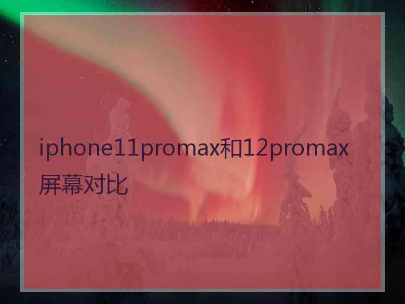 iphone11promax和12promax屏幕对比