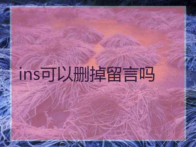 ins可以删掉留言吗