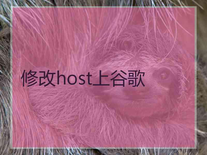 修改host上谷歌