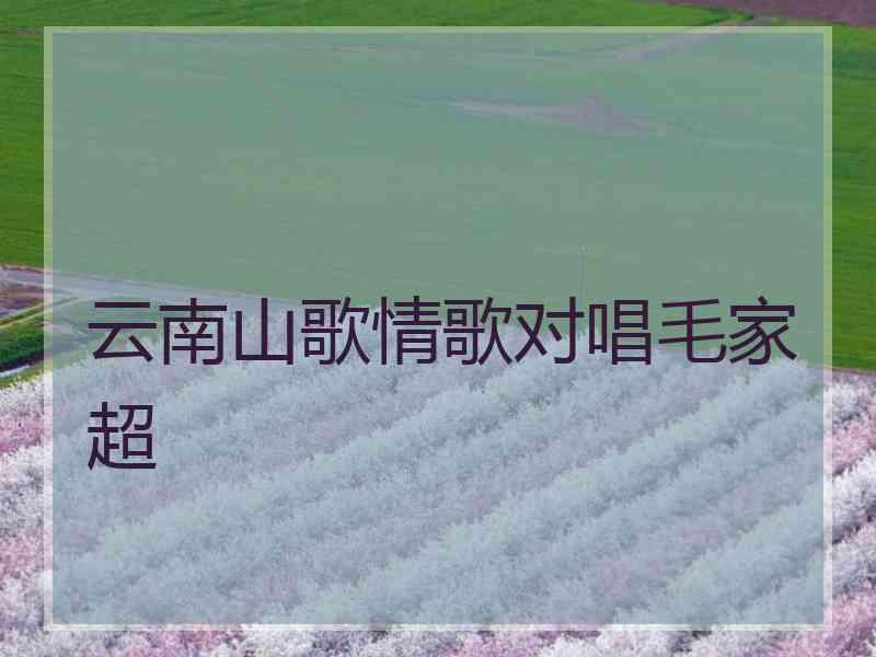 云南山歌情歌对唱毛家超