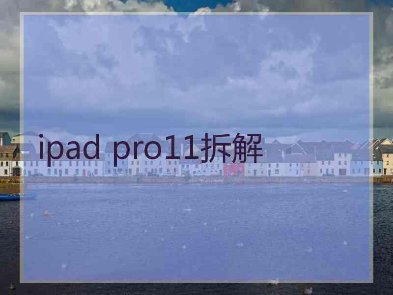 ipad pro11拆解