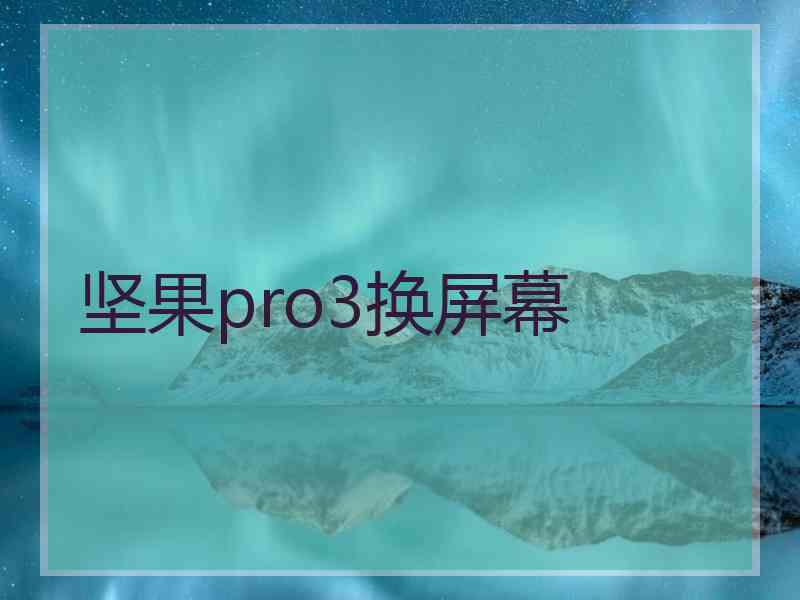 坚果pro3换屏幕