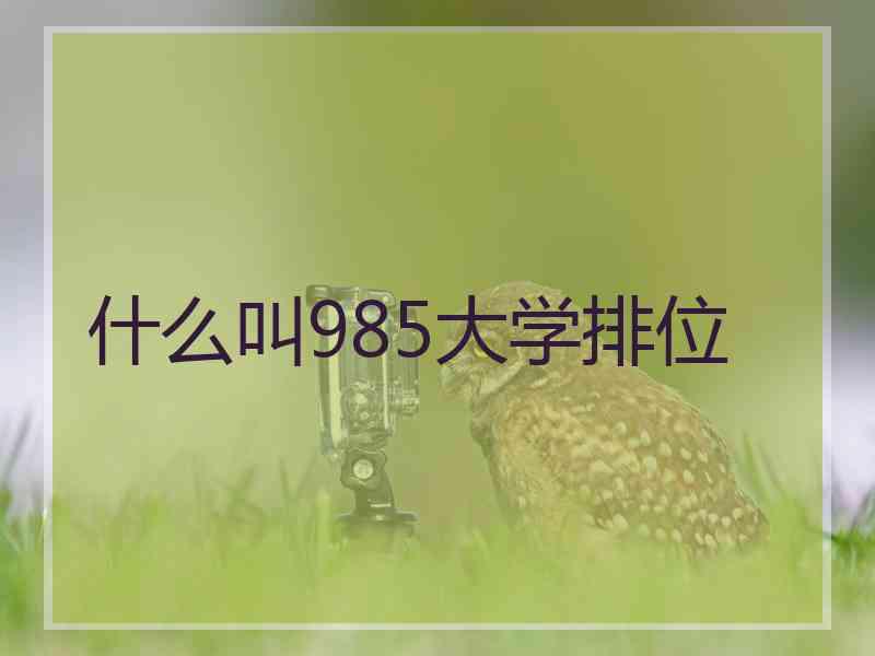 什么叫985大学排位