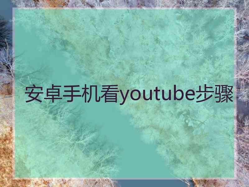 安卓手机看youtube步骤