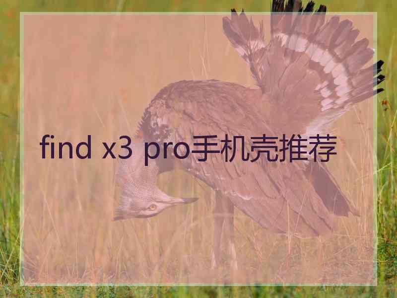 find x3 pro手机壳推荐