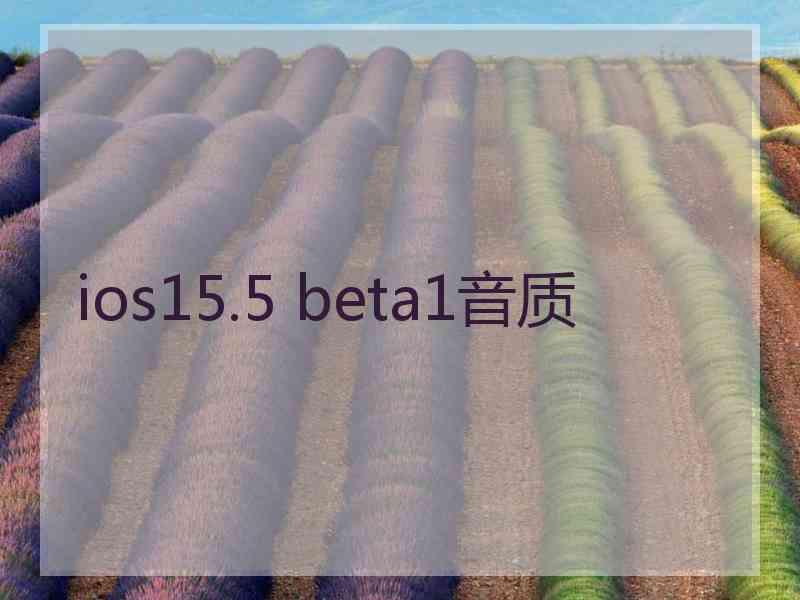 ios15.5 beta1音质