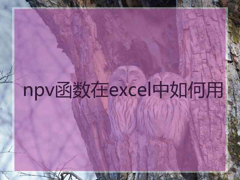 npv函数在excel中如何用