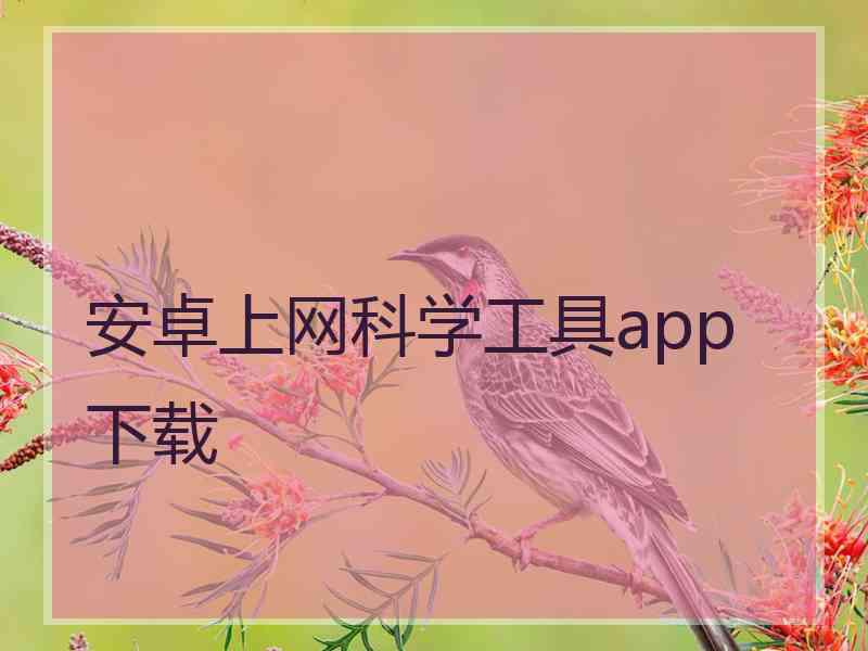 安卓上网科学工具app 下载