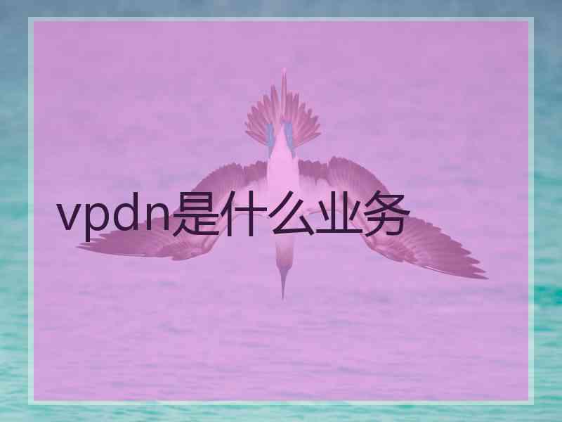 vpdn是什么业务