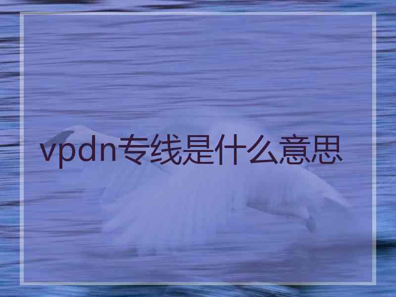 vpdn专线是什么意思