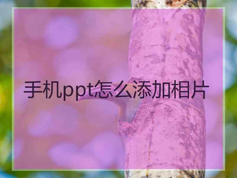 手机ppt怎么添加相片