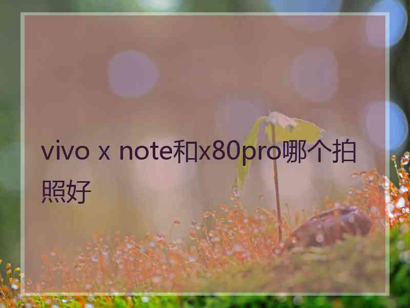 vivo x note和x80pro哪个拍照好