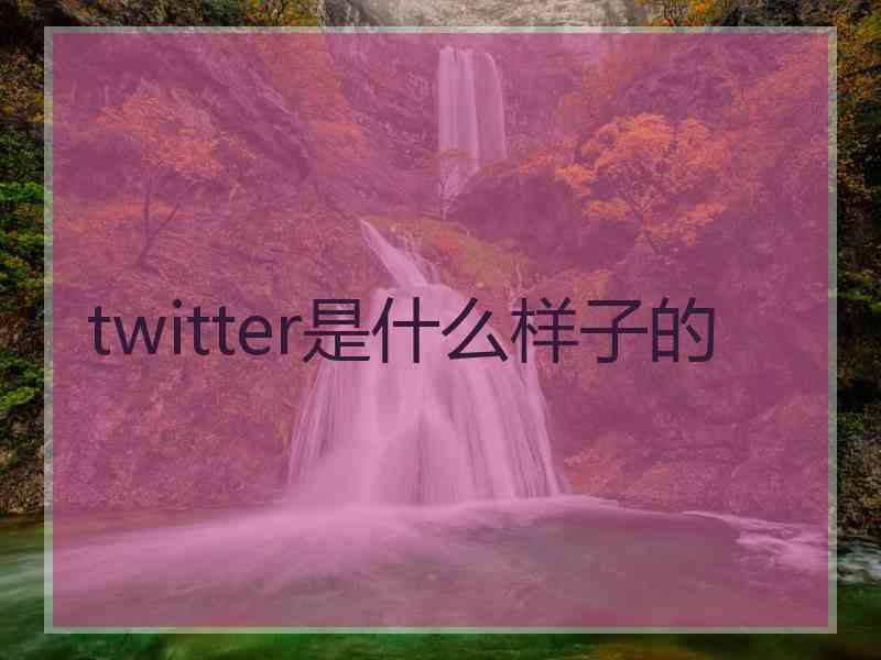 twitter是什么样子的