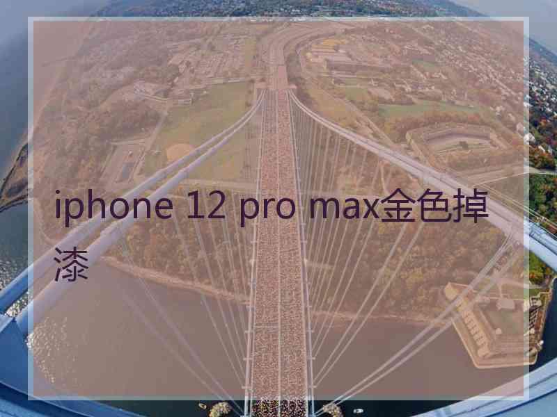 iphone 12 pro max金色掉漆