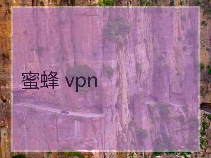 蜜蜂 vpn