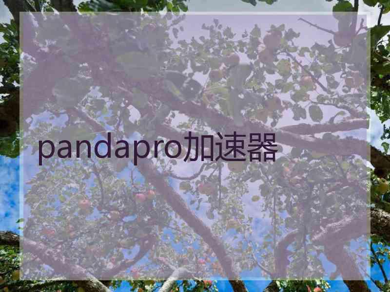 pandapro加速器