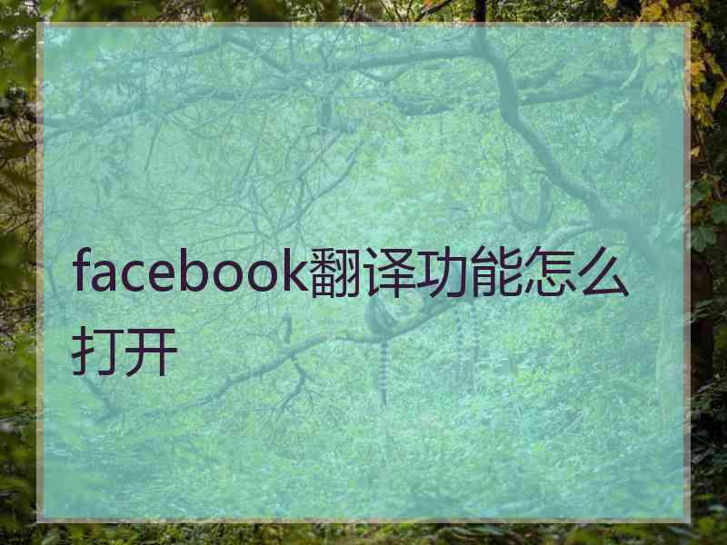 facebook翻译功能怎么打开