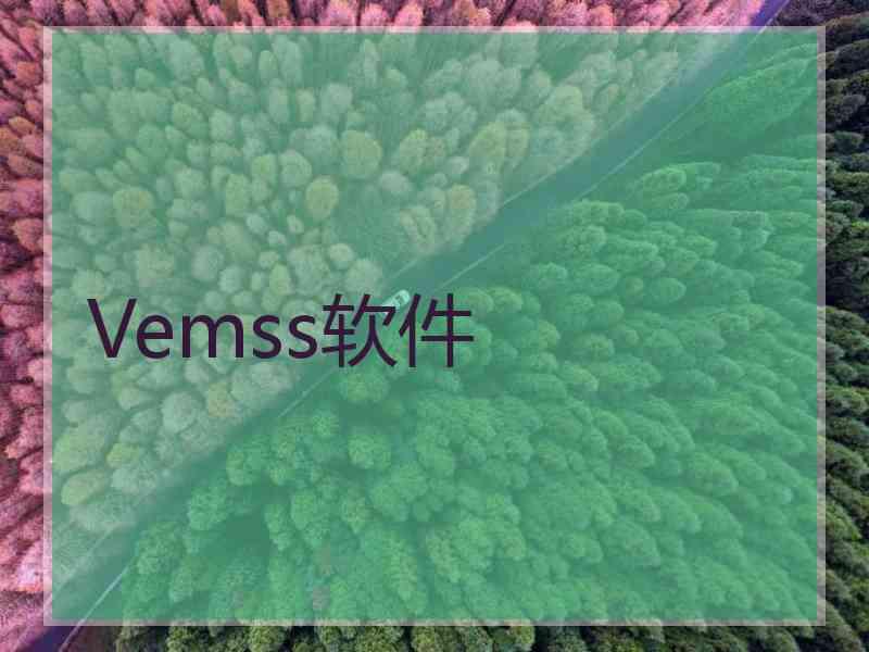 Vemss软件