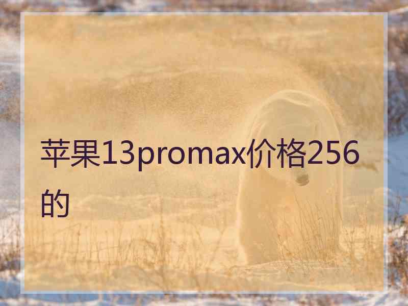 苹果13promax价格256的