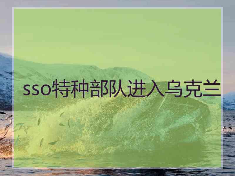 sso特种部队进入乌克兰