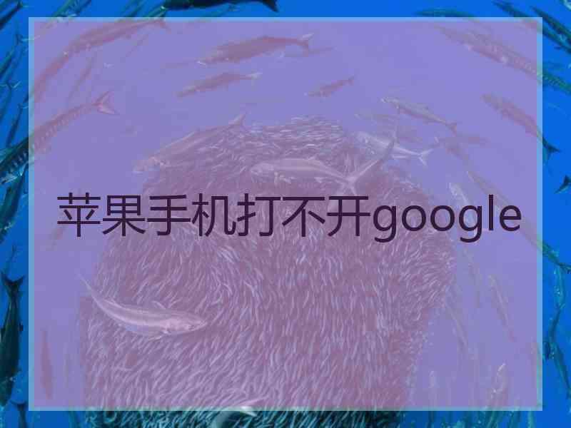 苹果手机打不开google