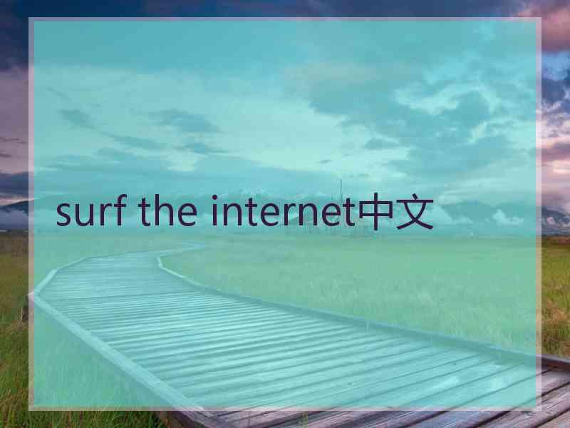 surf the internet中文