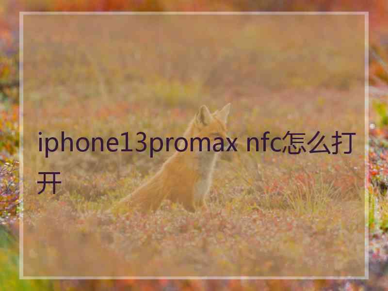 iphone13promax nfc怎么打开