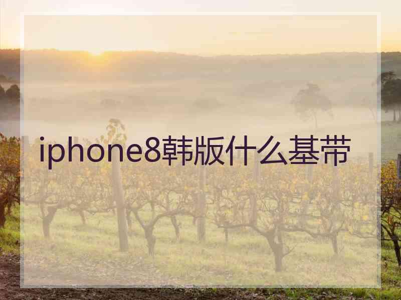 iphone8韩版什么基带