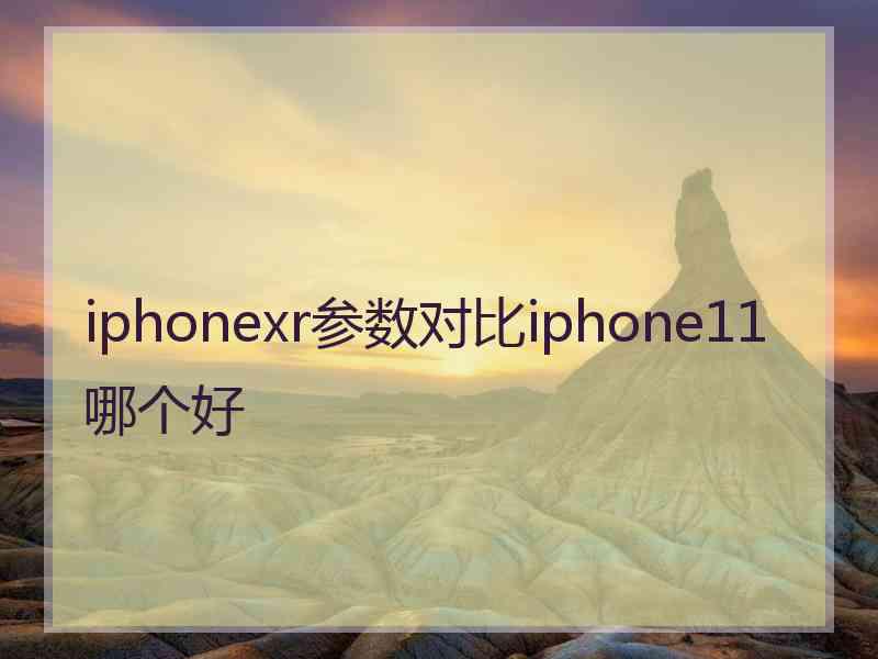 iphonexr参数对比iphone11哪个好