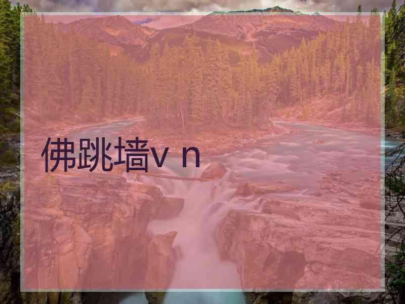 佛跳墙v n