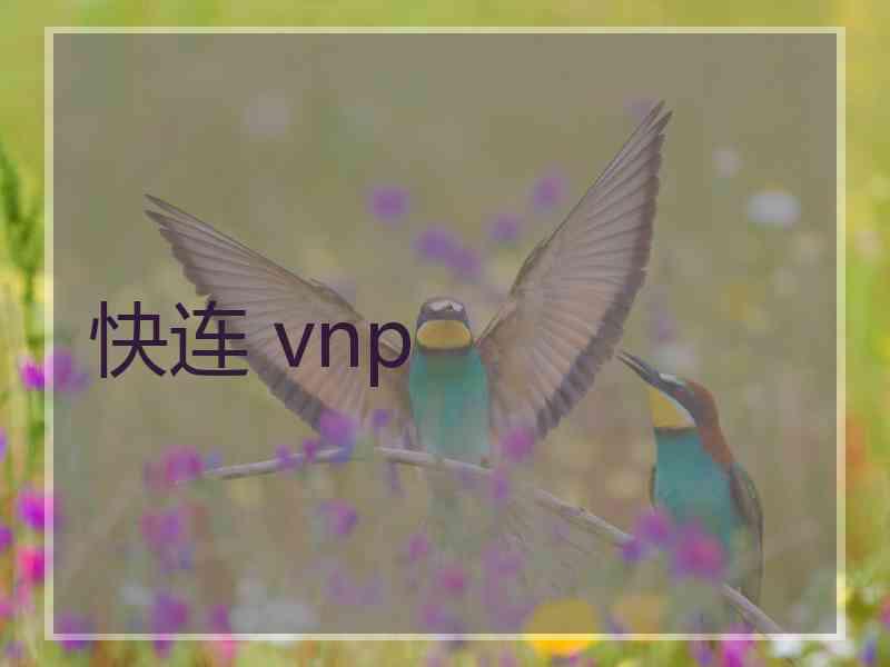 快连 vnp