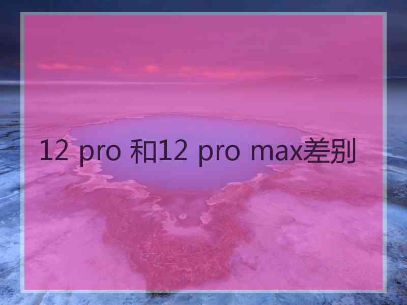 12 pro 和12 pro max差别