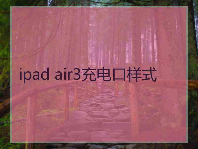 ipad air3充电口样式