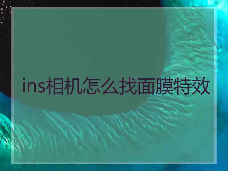 ins相机怎么找面膜特效